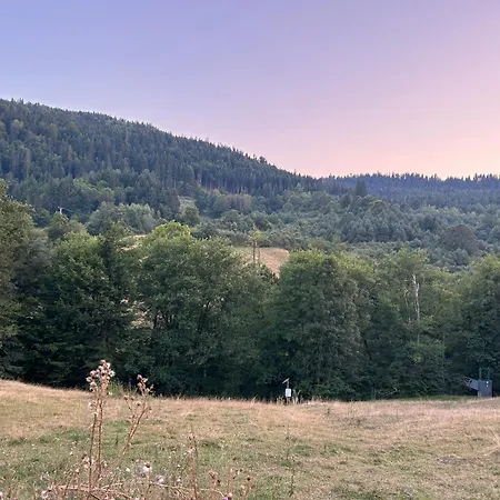Villa Mona Zeleni Vir *