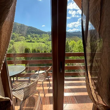 Villa Mona Zeleni Vir *